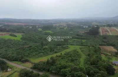 Terreno comercial à venda na rodovia assis brasil, 1959, cocão, viamão, 38760 m2 por r$ 890.000