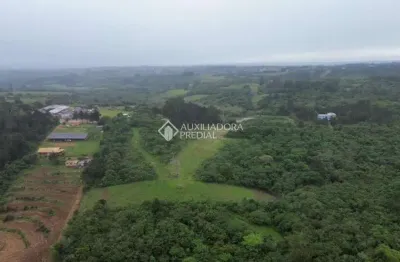 Terreno comercial à venda na rodovia assis brasil, 1959, cocão, viamão, 38760 m2 por r$ 890.000