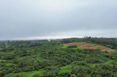 Terreno comercial à venda na rodovia assis brasil, 1959, cocão, viamão, 133620 m2 por r$ 2.500.000