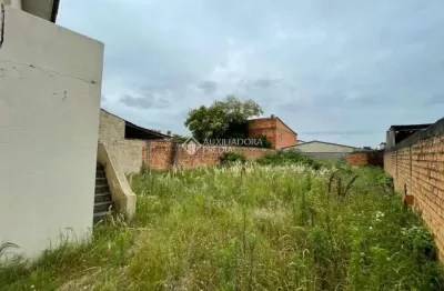Terreno à venda na rua albino becker, 751, cecília, viamão, 330 m2 por r$ 200.000