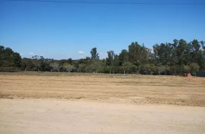 Terreno à venda no Centro, Pereiras 