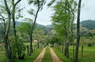 Chácara / sítio com 2 quartos à venda na henrique bernardo, 34, morro do freitas, paulo lopes por r$ 1.500.000