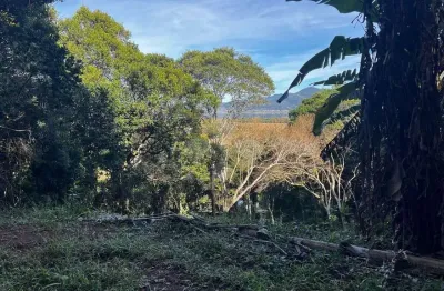 Terreno à venda na josé cupertino albano, praia da ferrugem, garopaba por r$ 477.000