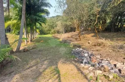 Terreno à venda na servidão pmg, 237, encantada, garopaba por r$ 670.000