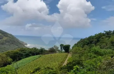 Terreno à venda na da coivara, 1, capão, garopaba por r$ 1.500.000