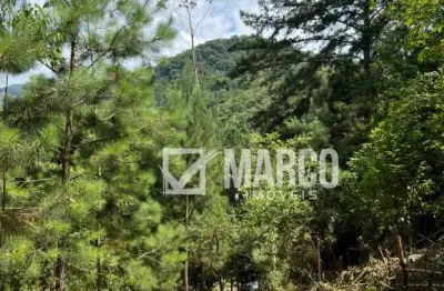 Terreno à venda no ribeirão souto, pomerode , 11312 m2 por r$ 689.000