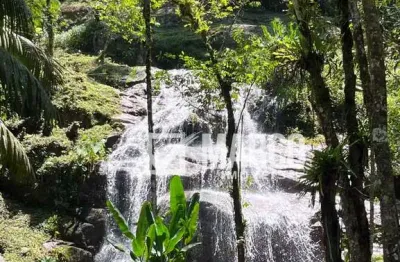 Chácara / sítio com 3 quartos à venda em alto cedros, rio dos cedros , 250 m2 por r$ 2.800.000