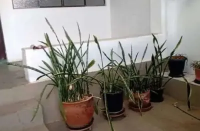 Imóvel disponível para venda jardim são francisco em salto/sp!