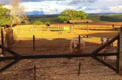 Fazenda com 2 salas à venda na rua monsenhor soares, 1501, área rural de itapetininga, itapetininga por r$ 24.000.000