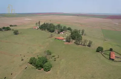 Vendo excelente fazenda em cana  na região de presidente prudente - sp.