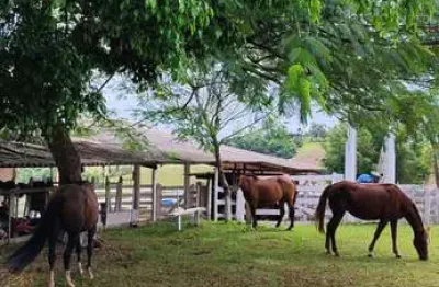 Chácara / sítio com 4 quartos à venda na Rua Monsenhor Soares, sn, Área Rural de Itapetininga, Itapetininga