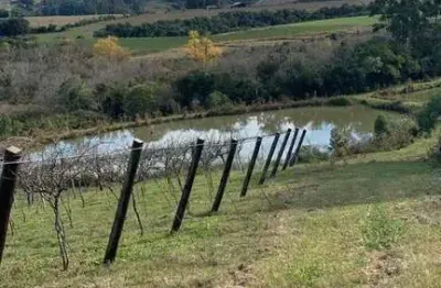 Chácara / sítio com 2 quartos à venda no Centro, Mariana Pimentel 