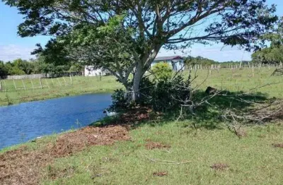 Excelente Sítio na Capital de 6.737,57 m2, Bairro Lami, Porto Alegre RS