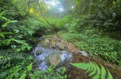 Terreno à venda, 9970 m² por r$ 1.540.000,00 - tanguá - almirante tamandaré/pr