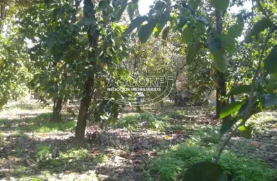 Terreno à venda no Jardim Elite, Piracicaba 