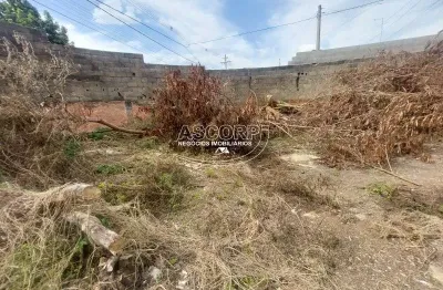 Terreno para alugar, vila monteiro, piracicaba - (código te00801)