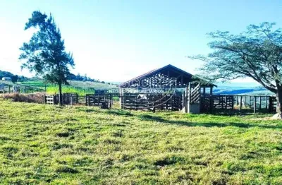 Sitio à venda, são jorge, à 35km de piracicaba -  (código st00007 )