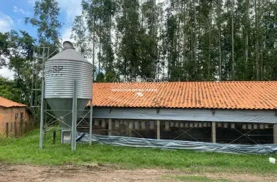 Chácara / sítio com 4 quartos à venda na Sitio Gonsales, *, Anhumas, Piracicaba