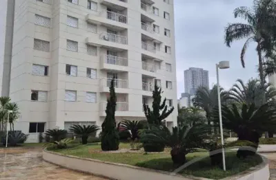 Aluguel de apartamento de 3 quartos na vila são francisco, osasco-sp: conforto e praticidade em 81m²