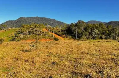 Terreno à venda no Centro, Guaramirim 
