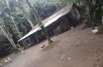 Chácara com 47.696 m² de área total, amizade - guaramirim