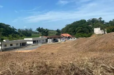 Terreno com 1.046,74 m² de área total, massaranduba