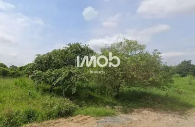Terreno à venda na Escolinha, Guaramirim 