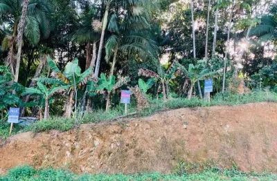 Terreno à venda no Avaí, Guaramirim 