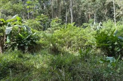 Chácara / sítio à venda na Área Rural de Jaraguá do Sul, Jaraguá do Sul 