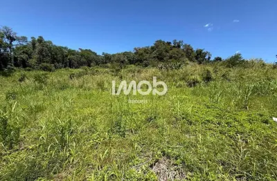 Terreno à venda no Chico de Paulo, Jaraguá do Sul 