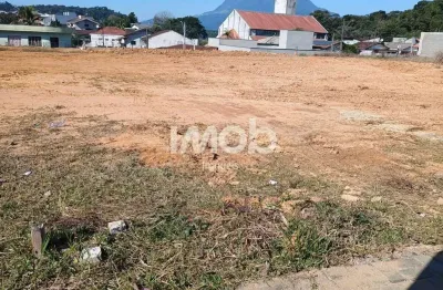 Terreno à venda no Tifa Martins, Jaraguá do Sul 