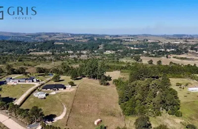 Terreno à venda, 20000 m² por r$ 1.800.000,00 - são luiz do purunã - balsa nova/pr