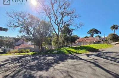 Terreno à venda, 499 m² por r$ 875.000 - vista alegre - curitiba/pr