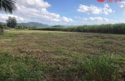 Terreno rodovia jorge lacerda  (( 55.000 m² )) - aluga ou vende - gaspar/sc