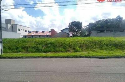 Terreno à venda na Rua Hugo Hoffmann, Velha, Blumenau