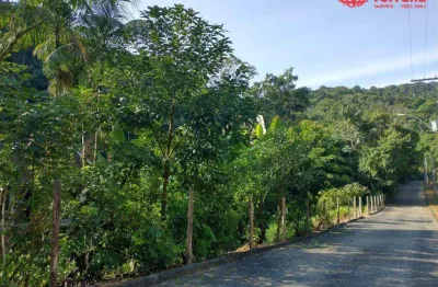 Terreno à venda na Rua Rodrigues Alves, Velha, Blumenau