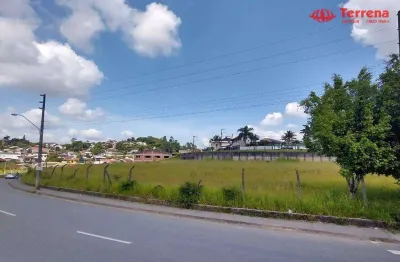 Terreno à venda, 6781 m² - itoupava norte - blumenau/sc