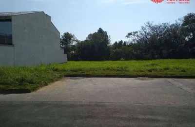 Terreno à venda na Rua Hugo Hoffmann, Velha, Blumenau