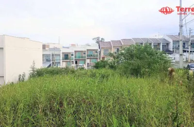 Terreno à venda, 445m² - fortaleza alta - blumenau/sc