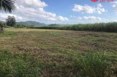 Terreno rodovia jorge lacerda  (( 55.000 m² )) - aluga ou vende - gaspar/sc