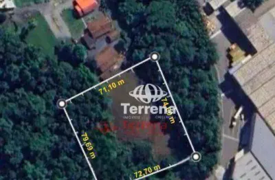 Terreno à venda, 5544 m² - salto weissbach - blumenau/sc