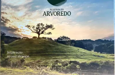 Terreno em condomínio fechado à venda na Paineira, 75, Country, Santa Cruz do Sul