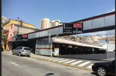 Área/estacionamento 1164m para locação, belenzinho, são paulo, sp