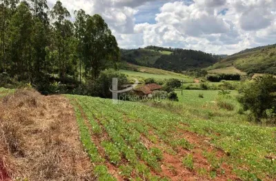 Chácara / sítio à venda na Bom Jardim, Centro, Teixeiras