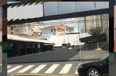 Área/estacionamento/terreno, para venda e locação, belenzinho, são paulo, sp
