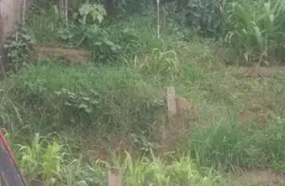 Terreno à venda na Avenida Procópio Ferreira, 230, Jardim Silvana, Santo André