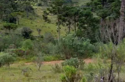 Área rural com 10 hectares,  na localidade de pericó em são joaquim