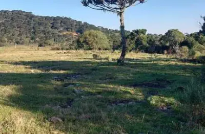 Terreno à venda na Estrada Geral Jararaca, 1, Zona Rural, Urubici