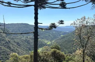 Linda área de 2 hectares localizada na região de baiano, na serra dos bitus