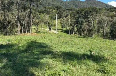 Área de 6,5 hc localizada em santa tereza, a apenas 10 km do centro de urubici.